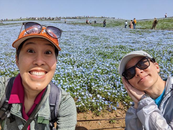 A field covered in baby blue eyes flowers with a line of Japanese tourist snaking up the hill. 