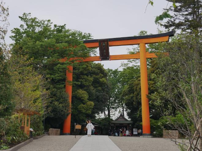 A person stands at the base of the gigantic torii gate at Kawagoe Hikawa Shrine.